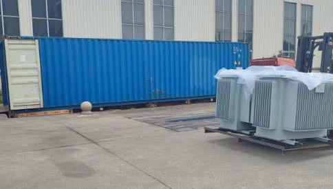 36020250301160212904